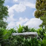 rock-podium-in-tropical-forest-for-product-present-2025-03-12-01-32-11-utc-7XQD2FU